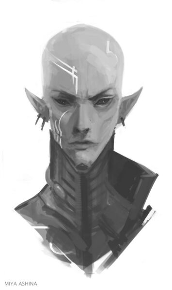 File:Wych by miyaashina-db6s95v.jpg