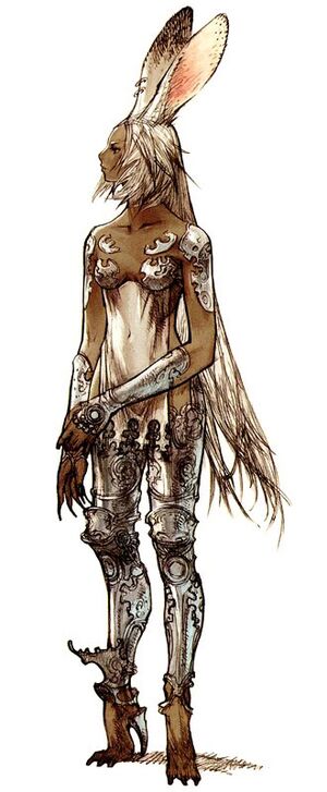 XII Viera.JPG.jpg
