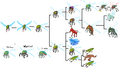 Thumbnail for version as of 20:18, 21 January 2025