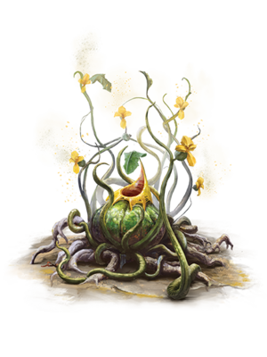 Yellow musk creeper PF.png