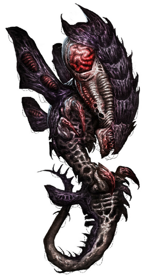 Zoanthrope Leviathan.png